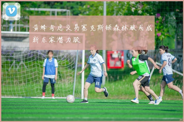 黄蜂考虑交易塞克斯顿森林狼或成新东家潜力股